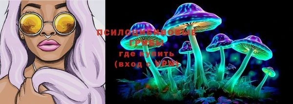 a pvp Володарск